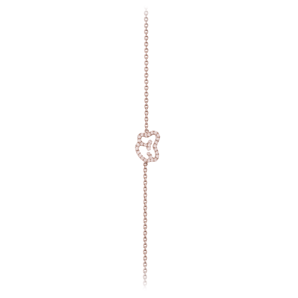 Image principale