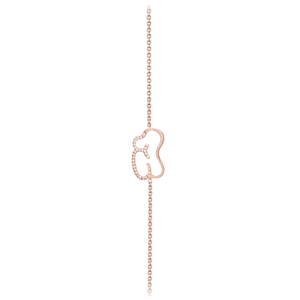 Image principale