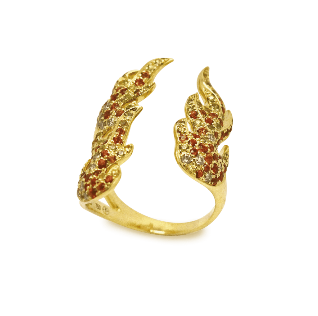 Image principale
